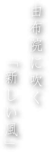 由布院に吹く、「新しい風邪」